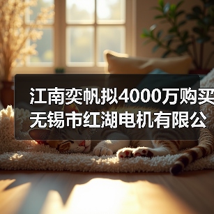 江南奕帆拟4000万购买无锡市红湖电机有限公司 25%股权(图3) 江南奕帆拟4000万购买无锡市红湖电机有限公司 25%股权(图3)