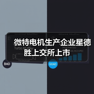 微特电机生产企业星德胜上交所上市(图4) 微特电机生产企业星德胜上交所上市(图4)