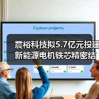 震裕科技拟5.7亿元投建新能源电机铁芯精密结构件欧洲生产基地项目（图4）