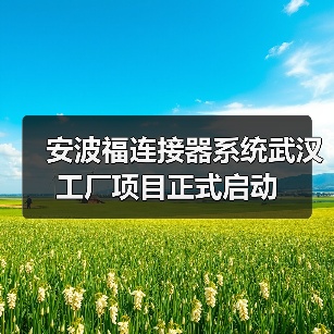 安波福连接器系统武汉工厂项目正式启动(图4) 安波福连接器系统武汉工厂项目正式启动(图4)