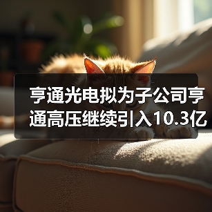 亨通光电拟为子公司亨通高压继续引入10.3亿元战略投资(图4) 亨通光电拟为子公司亨通高压继续引入10.3亿元战略投资(图4)