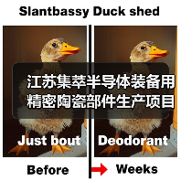 江苏集萃半导体装备用精密陶瓷部件生产项目开工(图2) 江苏集萃半导体装备用精密陶瓷部件生产项目开工(图2)
