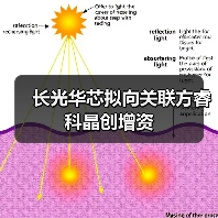 长光华芯拟向关联方睿科晶创增资(图2) 长光华芯拟向关联方睿科晶创增资(图2)