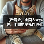 【看两会】全国人大代表、中国电子元件行业协会副理事长郭宏伟:用中国芯 传民族感(图3) 【看两会】全国人大代表、中国电子元件行业协会副理事长郭宏伟:用中国芯 传民族感(图3)