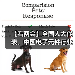 【看两会】全国人大代表、中国电子元件行业协会轮值理事长郭泽义: 充分发挥资本市场功能优化产业布局(图2) 【看两会】全国人大代表、中国电子元件行业协会轮值理事长郭泽义: 充分发挥资本市场功能优化产业布局(图2)