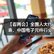 【看两会】全国人大代表、中国电子元件行业协会轮值理事长郭泽义: 充分发挥资本市场功能优化产业布局(图3) 【看两会】全国人大代表、中国电子元件行业协会轮值理事长郭泽义: 充分发挥资本市场功能优化产业布局(图3)