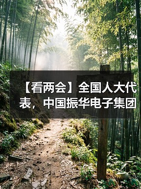 【看两会】全国人大代表,中国振华电子集团有限公司董事长、党委书记、O八三基地主任:支持产业振兴 赋能乡村振兴(图2) 【看两会】全国人大代表,中国振华电子集团有限公司董事长、党委书记、O八三基地主任:支持产业振兴 赋能乡村振兴(图2)