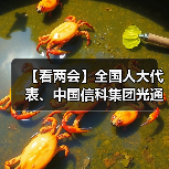 【看两会】全国人大代表、中国信科集团光通信系统和网络全国重点实验室正高级工程师刘武:我国光电子行业需要前瞻布局(图4) 【看两会】全国人大代表、中国信科集团光通信系统和网络全国重点实验室正高级工程师刘武:我国光电子行业需要前瞻布局(图4)
