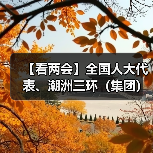 【看两会】全国人大代表、潮洲三环(集团)股份有限公司副总裁邱基华:发展新质生产力 为产业发展贡献力量(图3) 【看两会】全国人大代表、潮洲三环(集团)股份有限公司副总裁邱基华:发展新质生产力 为产业发展贡献力量(图3)