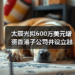 太辰光拟600万美元增资香港子公司并设立越南孙公司(图4) 太辰光拟600万美元增资香港子公司并设立越南孙公司(图4)
