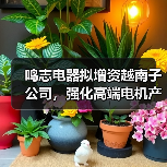 鸣志电器拟增资越南子公司,强化高端电机产能与海外布局(图4) 鸣志电器拟增资越南子公司,强化高端电机产能与海外布局(图4)