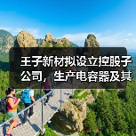 王子新材拟设立控股子公司,生产电容器及其配套设备(图2) 王子新材拟设立控股子公司,生产电容器及其配套设备(图2)