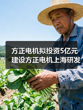 方正电机拟投资5亿元建设方正电机上海研发及制造总部(图2) 方正电机拟投资5亿元建设方正电机上海研发及制造总部(图2)