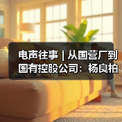电声往事 | 从国营厂到国有控股公司:杨良柏先生访谈(二)(图3) 电声往事 | 从国营厂到国有控股公司:杨良柏先生访谈(二)(图3)