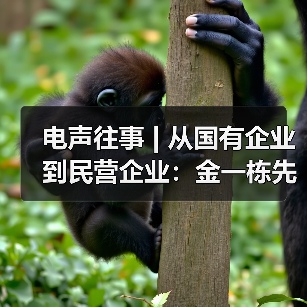 电声往事 | 从国有企业到民营企业:金一栋先生访谈(三)(图4) 电声往事 | 从国有企业到民营企业:金一栋先生访谈(三)(图4)
