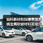 铂科新材拟投建泰国高端金属软磁材料及磁元件生产基地(图4) 铂科新材拟投建泰国高端金属软磁材料及磁元件生产基地(图4)