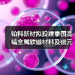 铂科新材拟投建泰国高端金属软磁材料及磁元件生产基地(图2) 铂科新材拟投建泰国高端金属软磁材料及磁元件生产基地(图2)