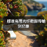 标准商用光纤数据传输创纪录(图4) 标准商用光纤数据传输创纪录(图4)