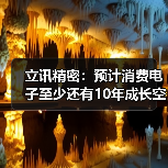 立讯精密:预计消费电子至少还有10年成长空间(图3) 立讯精密:预计消费电子至少还有10年成长空间(图3)