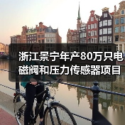 浙江景宁年产80万只电磁阀和压力传感器项目有序推进(图1) 浙江景宁年产80万只电磁阀和压力传感器项目有序推进(图1)