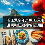浙江景宁年产80万只电磁阀和压力传感器项目有序推进(图2) 浙江景宁年产80万只电磁阀和压力传感器项目有序推进(图2)