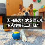 国内最大!武汉理岩电感式传感器工厂投产(图3) 国内最大!武汉理岩电感式传感器工厂投产(图3)