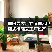 国内最大!武汉理岩电感式传感器工厂投产(图4) 国内最大!武汉理岩电感式传感器工厂投产(图4)