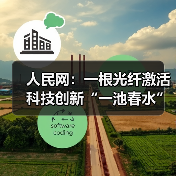人民网：一根光纤激活科技创新“一池春水”（图3）