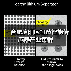 合肥庐阳区打造智能传感器产业集群(图3) 合肥庐阳区打造智能传感器产业集群(图3)