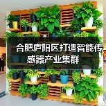 合肥庐阳区打造智能传感器产业集群(图4) 合肥庐阳区打造智能传感器产业集群(图4)