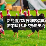 新易盛拟发行可转债募资不超18.8亿元用于成都高速率光模块扩建项目等(图3) 新易盛拟发行可转债募资不超18.8亿元用于成都高速率光模块扩建项目等(图3)
