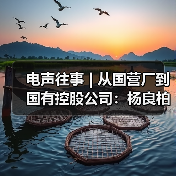 电声往事 | 从国营厂到国有控股公司：杨良柏先生访谈(三)（图3）