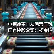 电声往事 | 从国营厂到国有控股公司：杨良柏先生访谈(三)（图1）