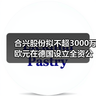 合兴股份拟不超3000万欧元在德国设立全资公司投建生产基地（图4）