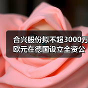 合兴股份拟不超3000万欧元在德国设立全资公司投建生产基地（图1）