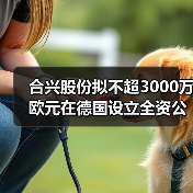 合兴股份拟不超3000万欧元在德国设立全资公司投建生产基地（图2）