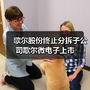 歌尔股份终止分拆子公司歌尔微电子上市(图2) 歌尔股份终止分拆子公司歌尔微电子上市(图2)