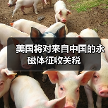 美国将对来自中国的永磁体征收关税（图1）