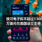 快可电子拟不超过1300万美元在美国设立全资子公司(图2) 快可电子拟不超过1300万美元在美国设立全资子公司(图2)