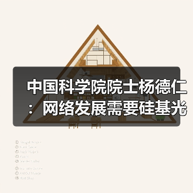 中国科学院院士杨德仁：网络发展需要硅基光电子 中国已接近国际先进水平（图2）