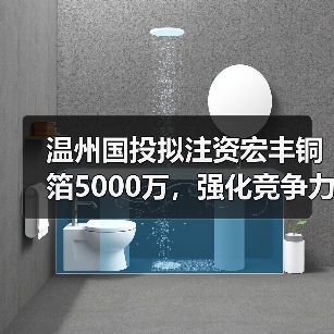 温州国投拟注资宏丰铜箔5000万,强化竞争力(图3) 温州国投拟注资宏丰铜箔5000万,强化竞争力(图3)
