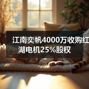 江南奕帆4000万收购红湖电机25%股权(图3) 江南奕帆4000万收购红湖电机25%股权(图3)