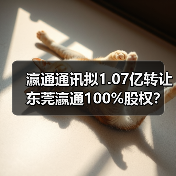 瀛通通讯拟1.07亿转让东莞瀛通100%股权?背后原因曝光(图1) 瀛通通讯拟1.07亿转让东莞瀛通100%股权?背后原因曝光(图1)