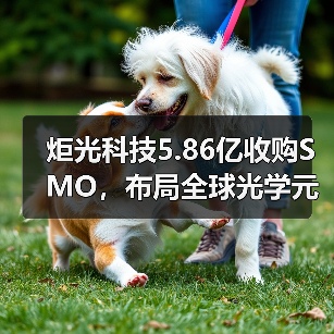 炬光科技5.86亿收购SMO,布局全球光学元器件(图3) 炬光科技5.86亿收购SMO,布局全球光学元器件(图3)