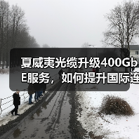 夏威夷光缆升级400GbE服务,如何提升国际连接?(图2) 夏威夷光缆升级400GbE服务,如何提升国际连接?(图2)