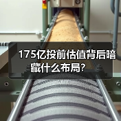 175亿投前估值背后暗藏什么布局?(图1) 175亿投前估值背后暗藏什么布局?(图1)