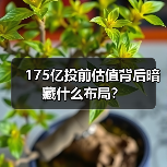 175亿投前估值背后暗藏什么布局?(图4) 175亿投前估值背后暗藏什么布局?(图4)