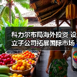 科力尔布局海外投资 设立子公司拓展国际市场(图1) 科力尔布局海外投资 设立子公司拓展国际市场(图1)