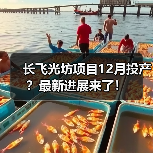 长飞光坊项目12月投产?最新进展来了!(图2) 长飞光坊项目12月投产?最新进展来了!(图2)