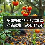 东丽韩国MLCC离型膜产能激增,或迎千亿市场机遇?(图1) 东丽韩国MLCC离型膜产能激增,或迎千亿市场机遇?(图1)